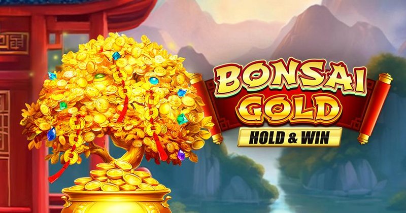 Explore qbet online casino